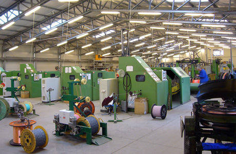 View from inside of plant